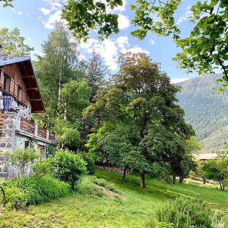 Chalet Le Tilleul Valdeblore Exterior foto